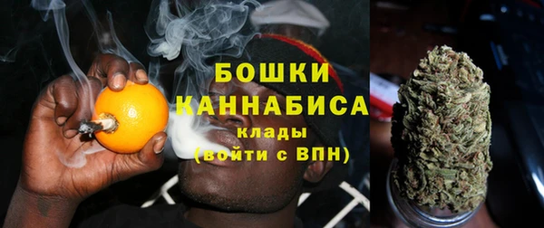 прущие крисы Арсеньев
