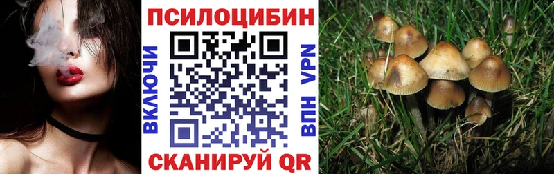 Псилоцибиновые грибы Magic Shrooms Лахденпохья