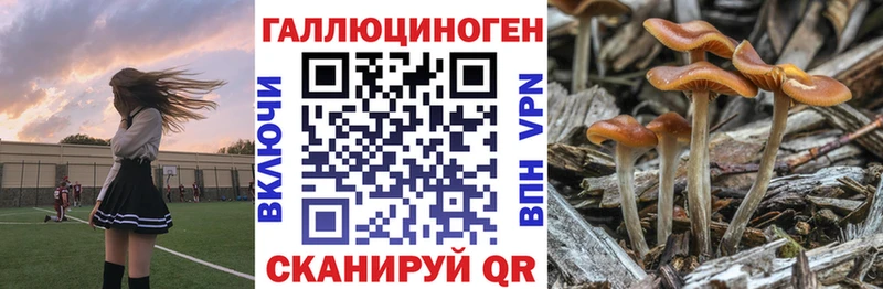 mega сайт  Лахденпохья  Псилоцибиновые грибы мухоморы 